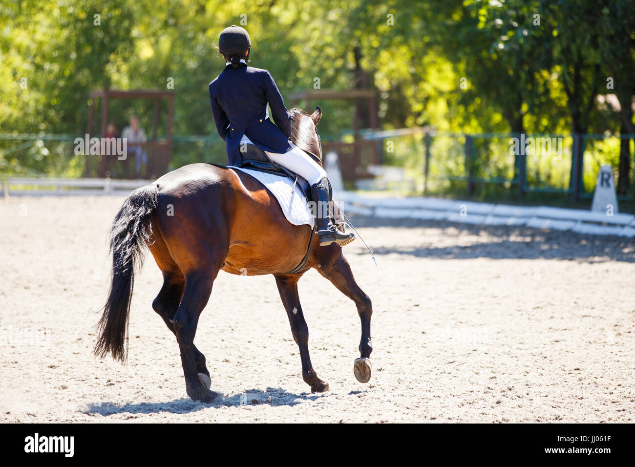 Chiudere l immagine del cavallo con pilota a dressage equestrian competizioni sportive. I dettagli delle attrezzature equestri Foto Stock