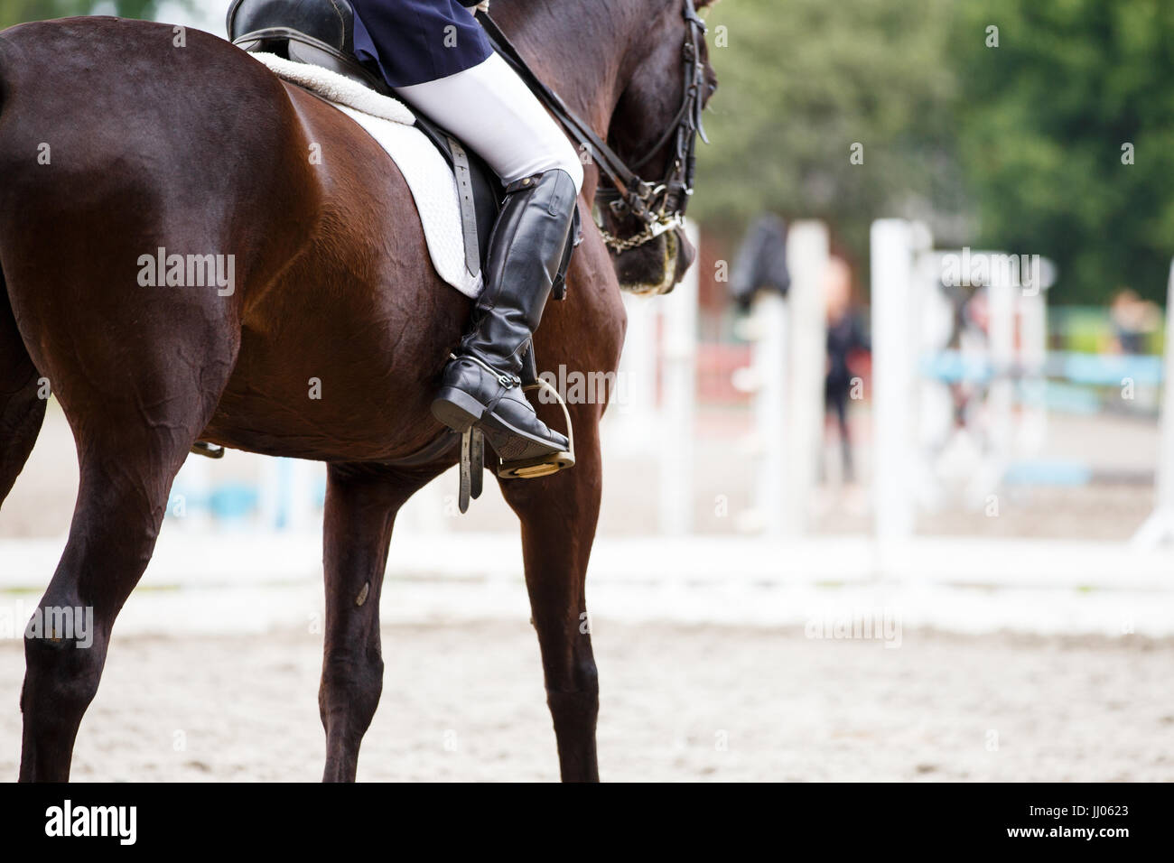 Chiudere l immagine del cavallo con pilota a dressage equestrian competizioni sportive. I dettagli delle attrezzature equestri Foto Stock