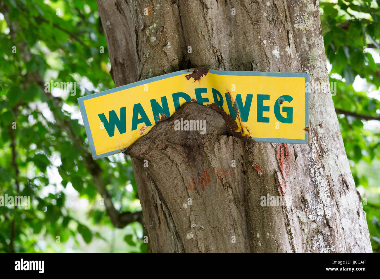 Segno "sentiero" si è affermata in un tronco - Segno "sentiero", Schild 'Wanderweg' ist in einen Baumstamm eingewachsen - Segno "Wanderweg' Foto Stock