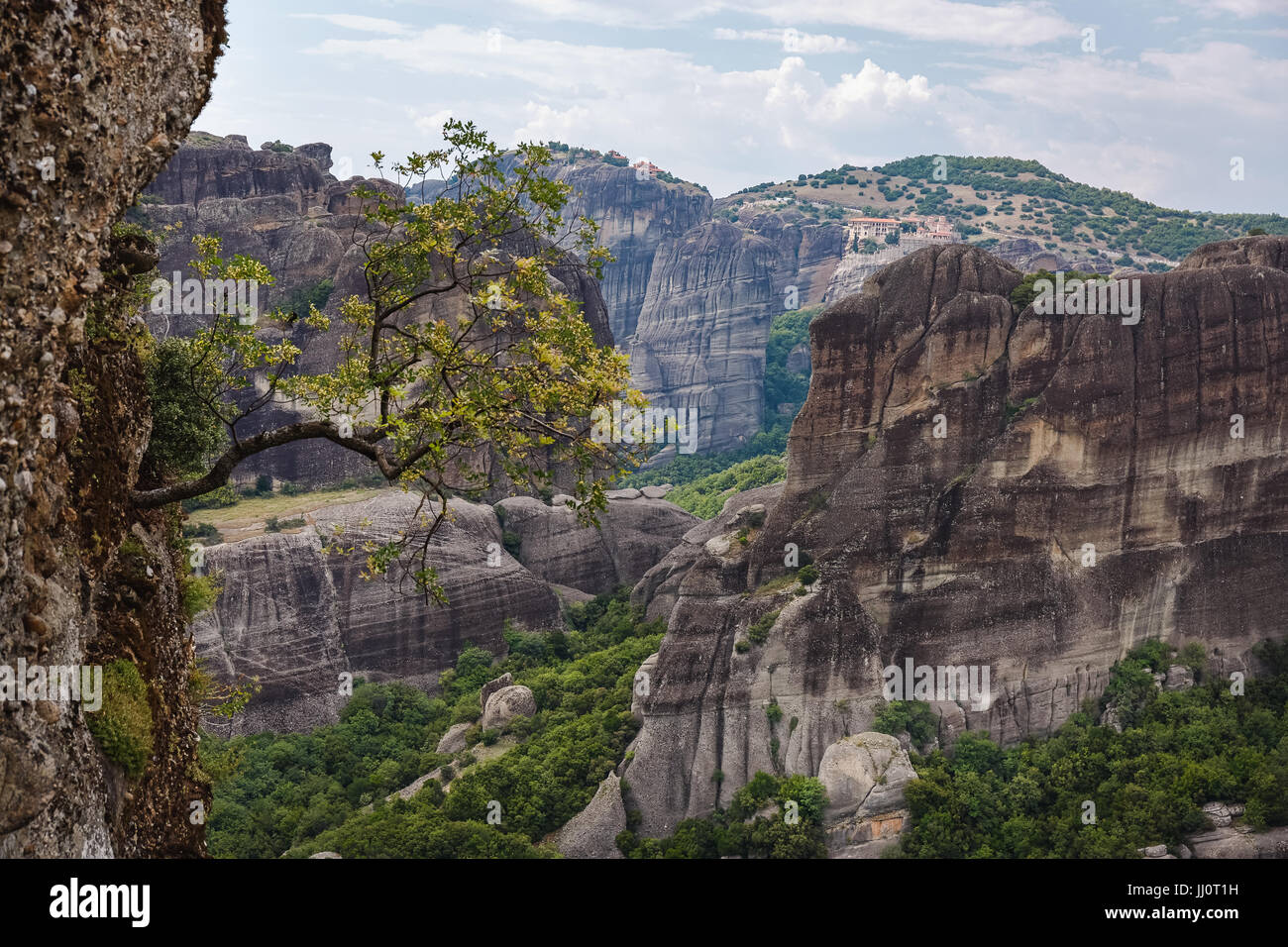 Bellissima vista panoramica, delle montagne, monasteri e grande albero su una roccia di Meteora in estate, Sito Patrimonio Mondiale dell'UNESCO, Trikala, Grecia Foto Stock