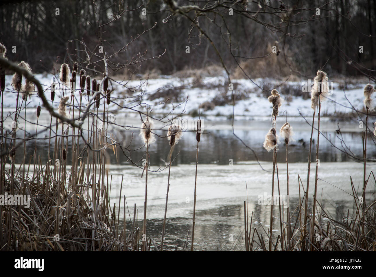 Ance - Lago Foto Stock