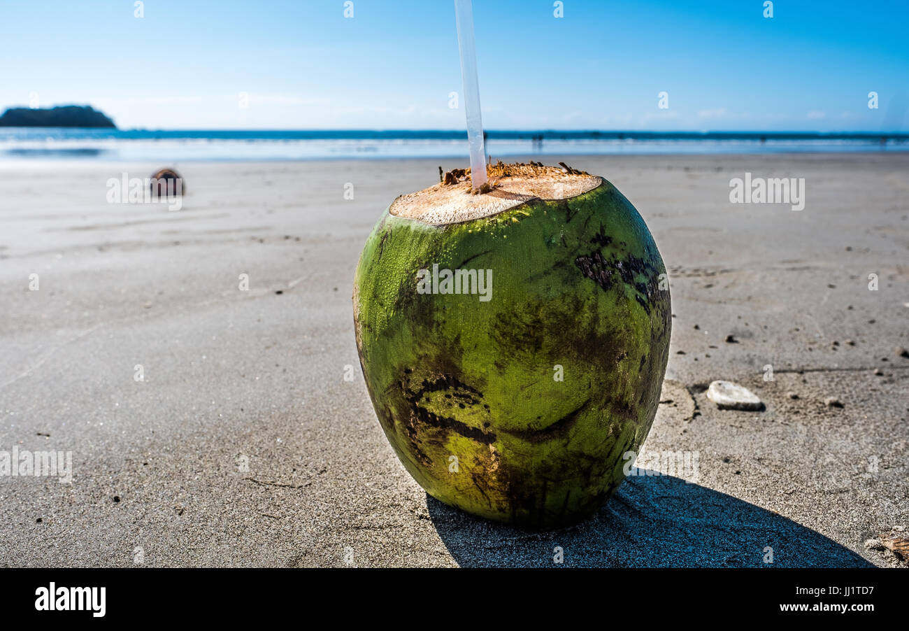 Noce di cocco verde spiaggia di Costa Rica oceano pacifico sulla spiaggia di sabbia di frutta acqua Foto Stock