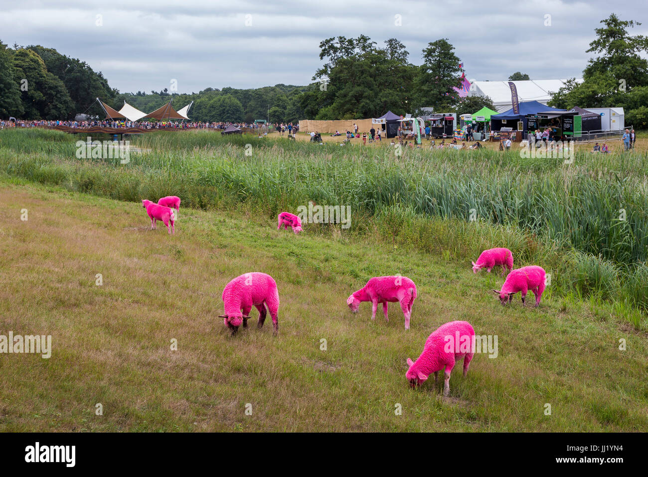 Firma di pecora rosa accanto al lago. con lo Stadio Waterfront in background. Latitude Festival, Suffolk Foto Stock