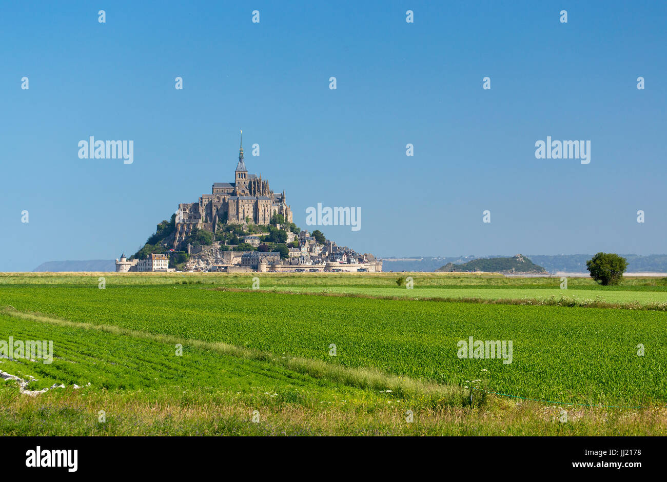 Mont St Michel visto attraverso campi verdi in una giornata di sole Foto Stock