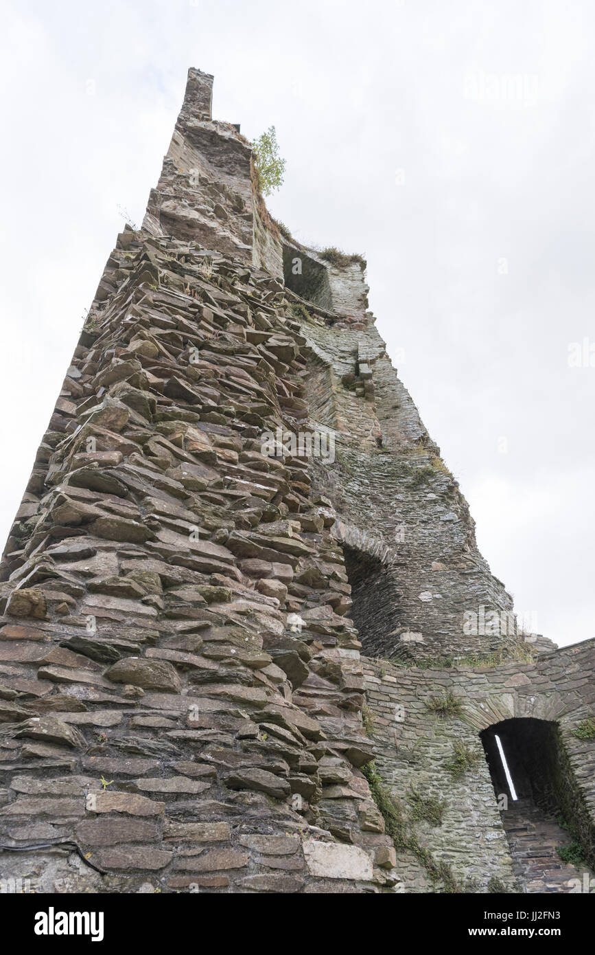 Il Castello di Ferns, County Wexford, Irlanda, una fortezza anglo-normanna, costruita a metà del XIII secolo da William, Conte di Marshall. Oggi circa la metà o Foto Stock