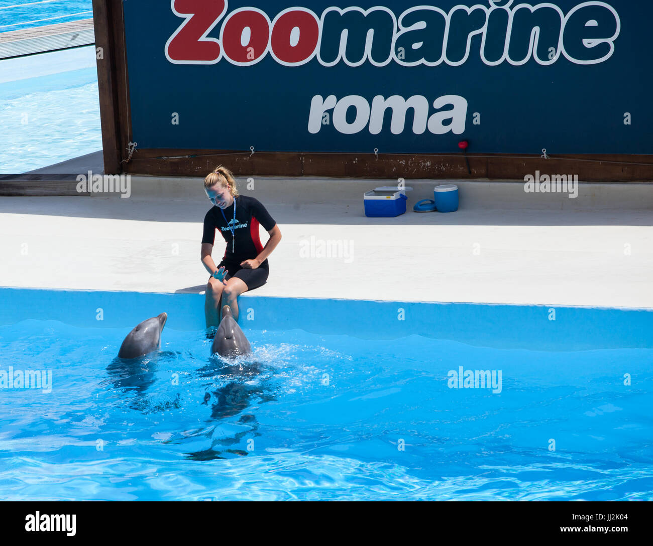 Torvaianica, Italia - 24 giugno 2013: acqua chiara con incredibile  spettacolo di delfini algarve parco a tema acquatico delfinario, oceani di  divertimento. zoomarine è un'acqua Foto stock - Alamy