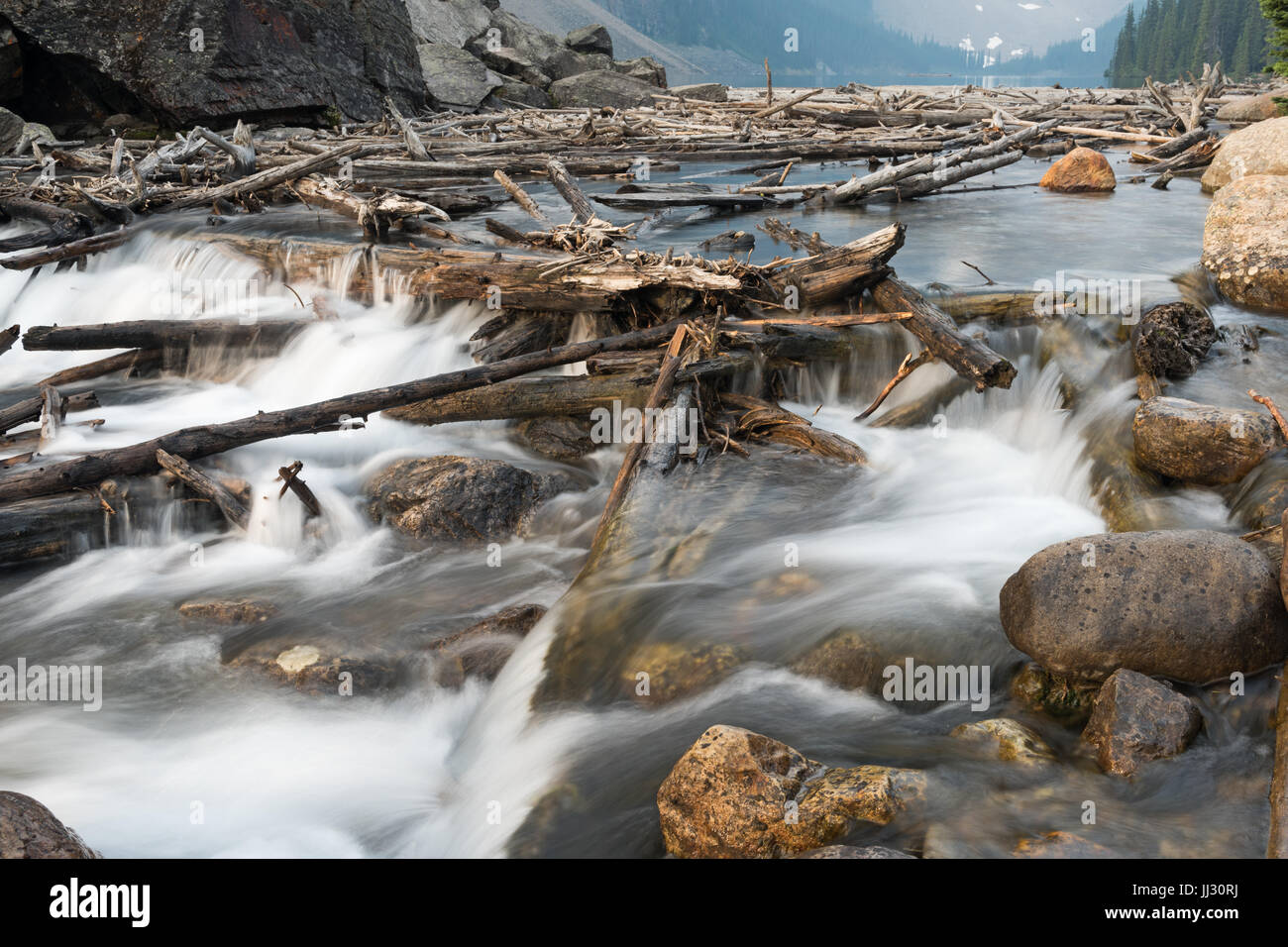 Driftwood log jam come cascate di acqua verso il basso le cascate di lasciare il Lago Moraine e il Parco Nazionale di Banff, Alberta, Canada. Foto Stock