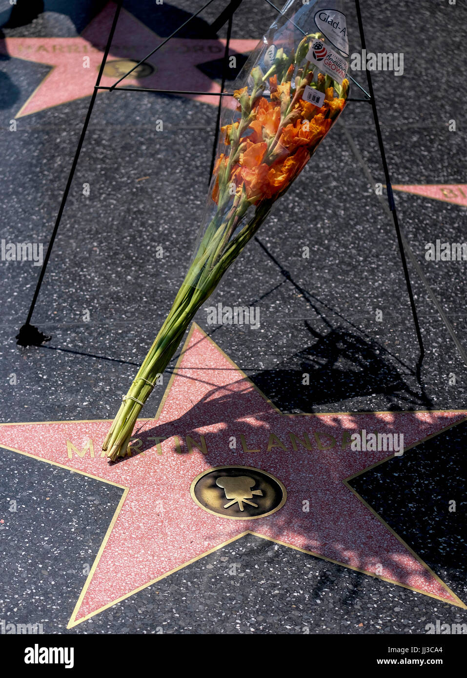 Los Angeles, Sabato, STATI UNITI D'AMERICA. Il 15 luglio 2017. Fiori in memoria di attore Martin Landau sono collocati sulla sua stella sulla Hollywood Walk of Fame nella parte anteriore del Dolby Theatre di Los Angeles, gli Stati Uniti, il 17 luglio 2017. Landau, l'attore che ha acquisito fama negli anni sessanta la TV mostra 'Mission: Impossibile,' poi chiusa con un tappo di una lunga carriera con un Oscar per il suo ruolo di invecchiamento horror movie star Bela Lugosi nel 1994's 'Ed Wood", morto sabato, 15 luglio, 2017. Egli è stato 89. Credito: Zhao Hanrong/Xinhua/Alamy Live News Foto Stock