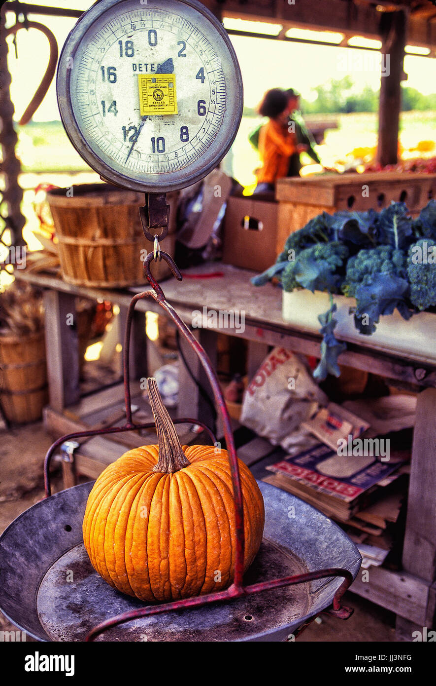 Farm stand, arancione zucca su scala vintage, le persone al di fuori della messa a fuoco in background Foto Stock