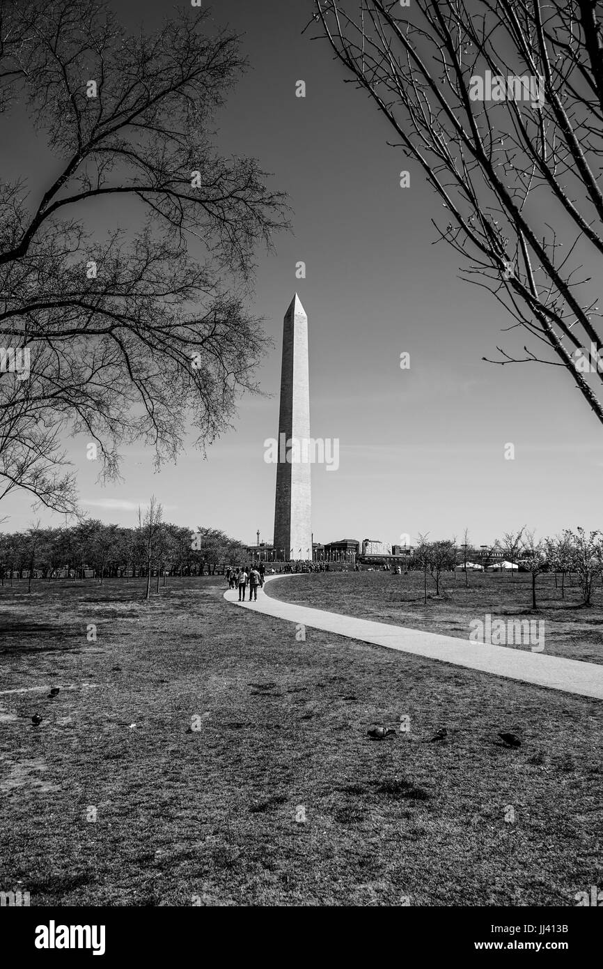 Il Monumento a Washington a Washington DC - WASHINGTON / Distretto di Columbia - Aprile 8, 2017 Foto Stock