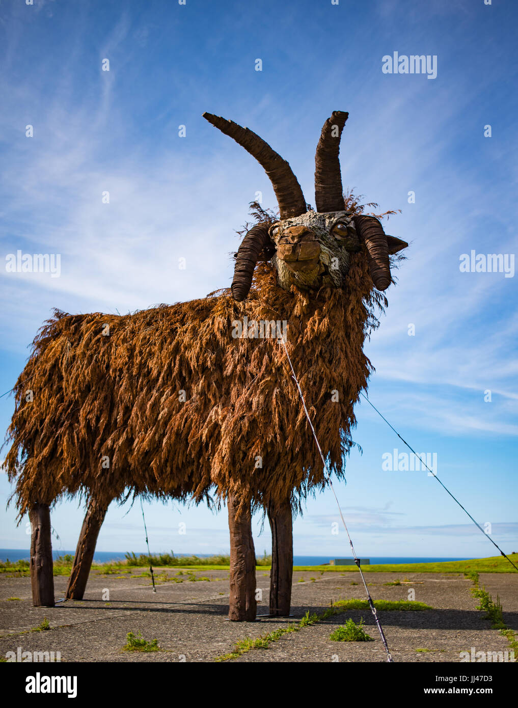 Manx Loaghtan pecore fatte di legno e rami di conifere Foto Stock