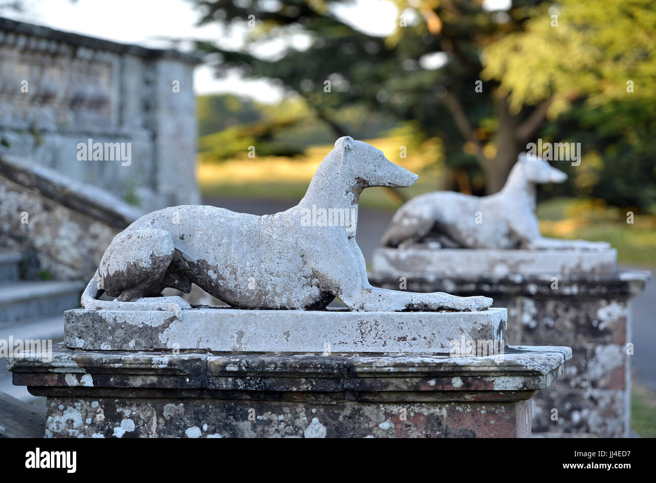Due statue greyhound in un giardino formale Foto Stock