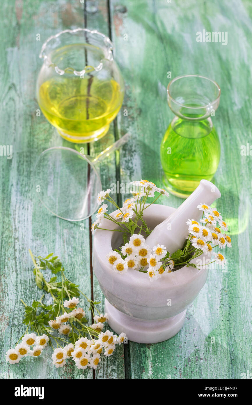 Medicina alternativa. chamomille, in un mortaio di marmo. Gli oli essenziali e i supplementi a base di erbe. Foto Stock