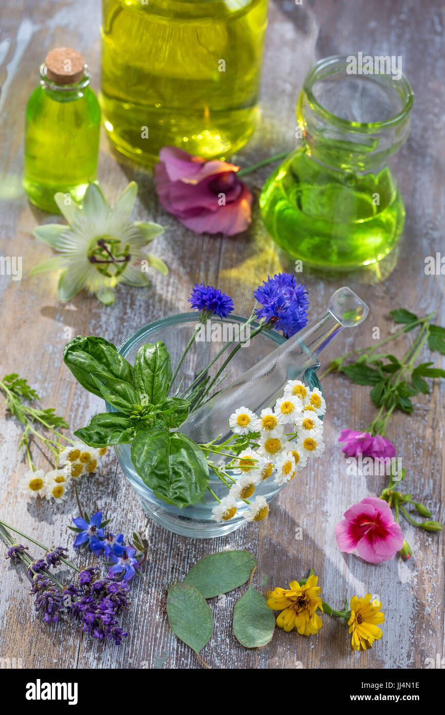 Oli essenziali per un trattamento di aromaterapia con erbe fresche in un  mortaio sfondo bianco Foto stock - Alamy
