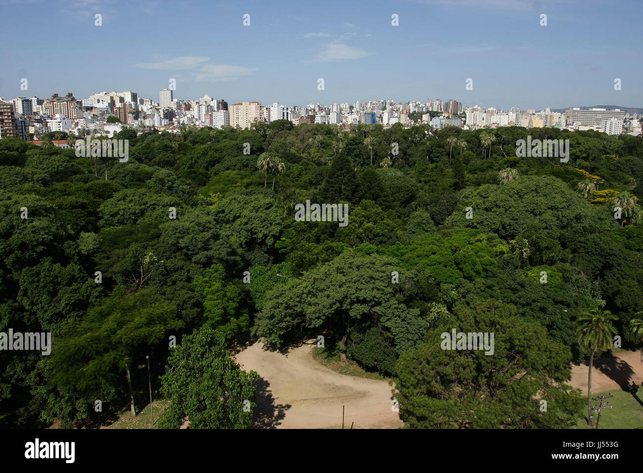 Forest, case, città di São Paulo, Brasile Foto Stock