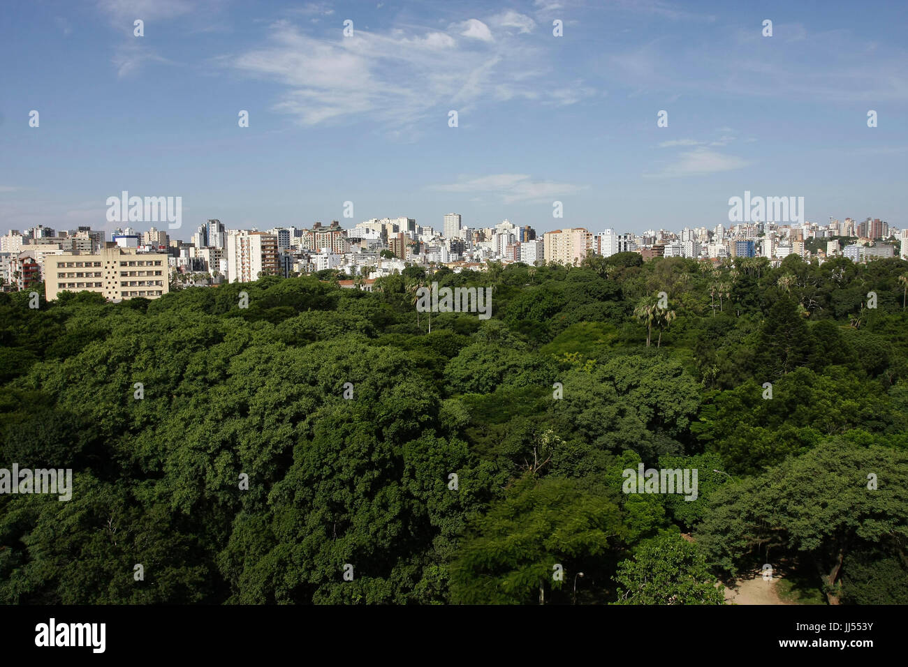 Forest, della città di São Paulo, Brasile Foto Stock