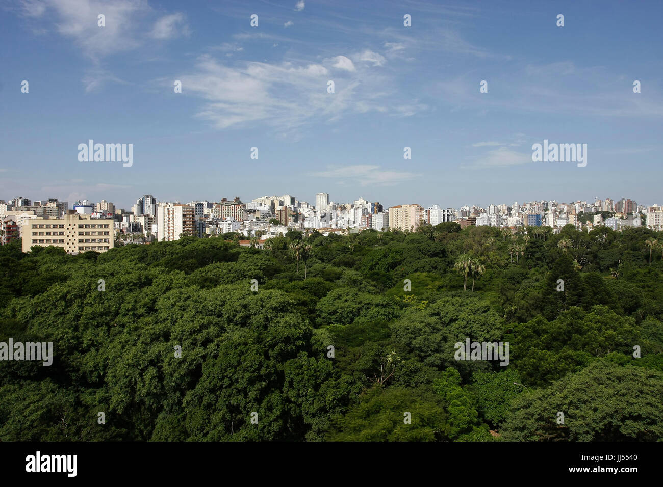 Forest, della città di São Paulo, Brasile Foto Stock