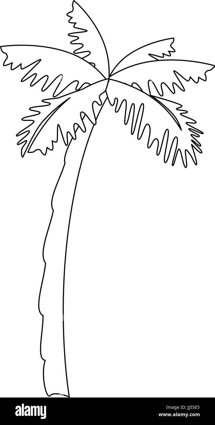 Spiaggia isolata icona palm illustrazione vettoriale graphic design Illustrazione Vettoriale