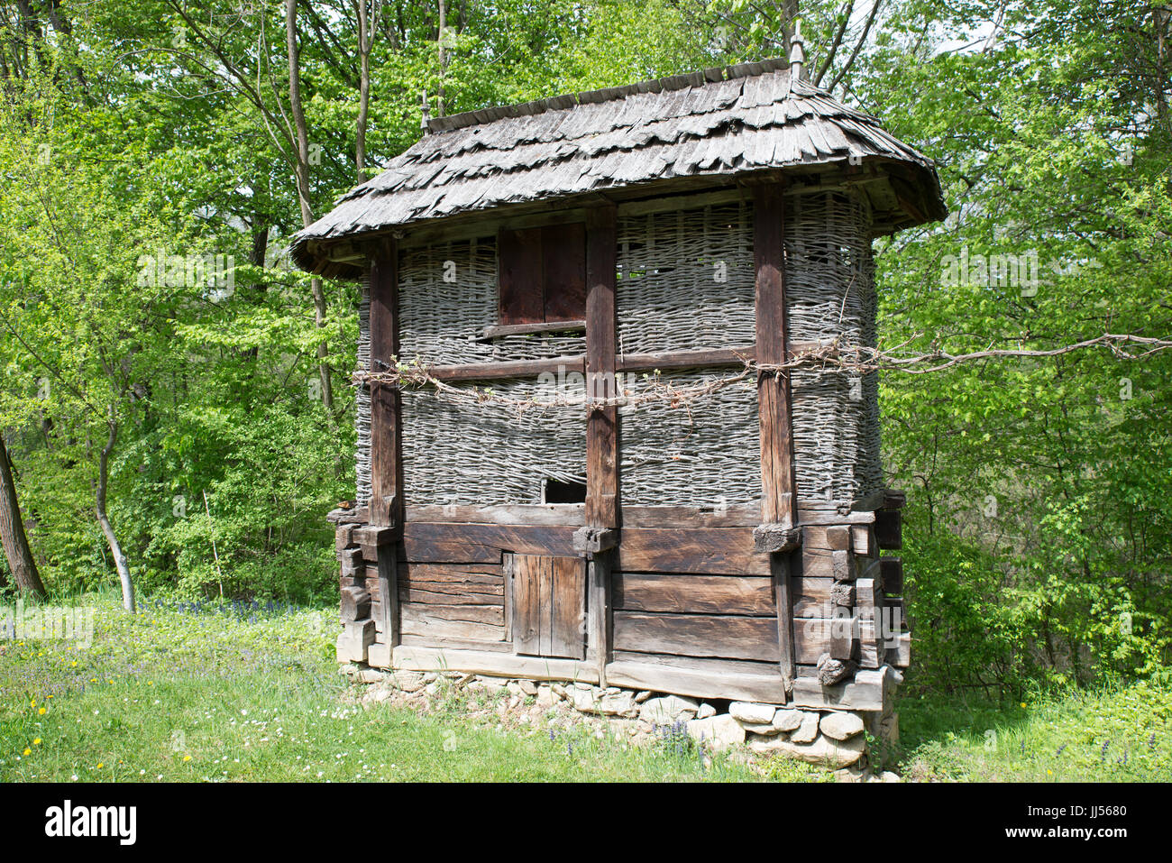 Mais tradizionale essiccatore ad Astra Museo Folcloristico di civiltà tradizionali, Dumbrava, Romania Foto Stock