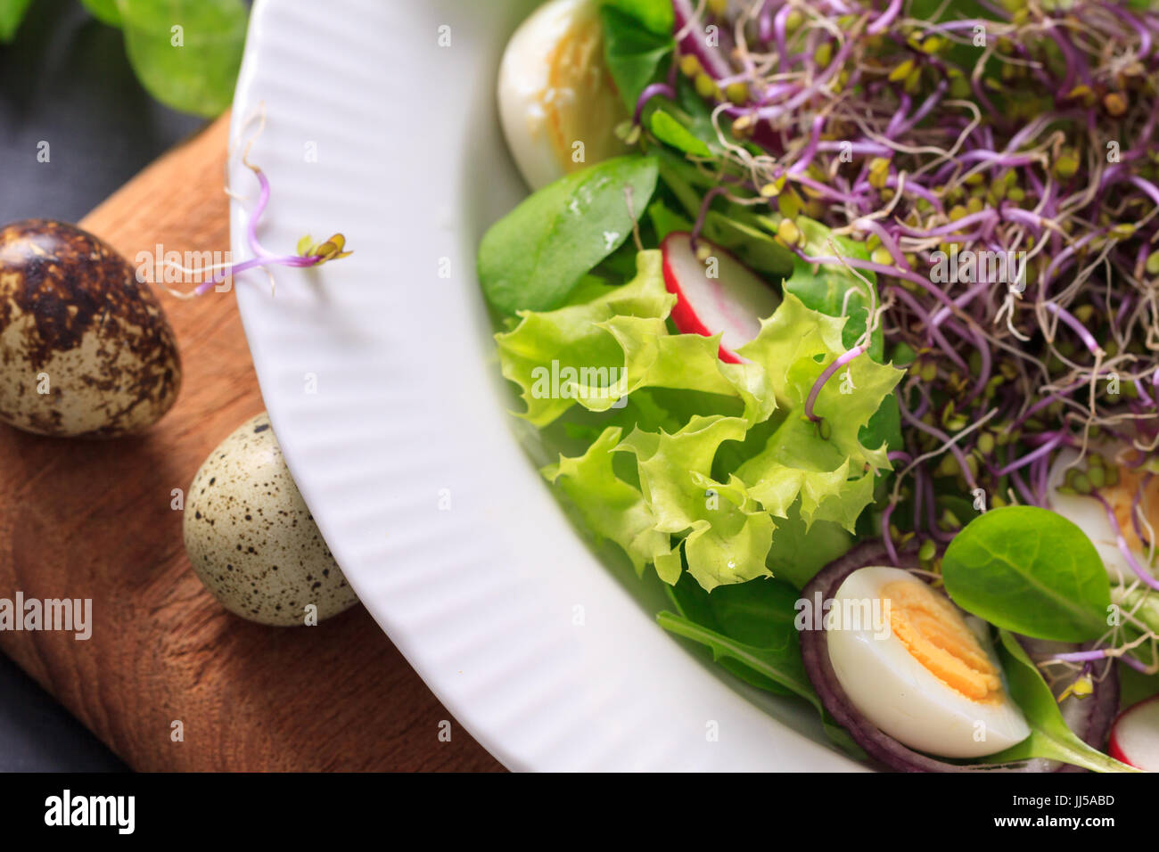Insalata primaverile con radicchio, uova di quaglia e i germogli. Foto Stock