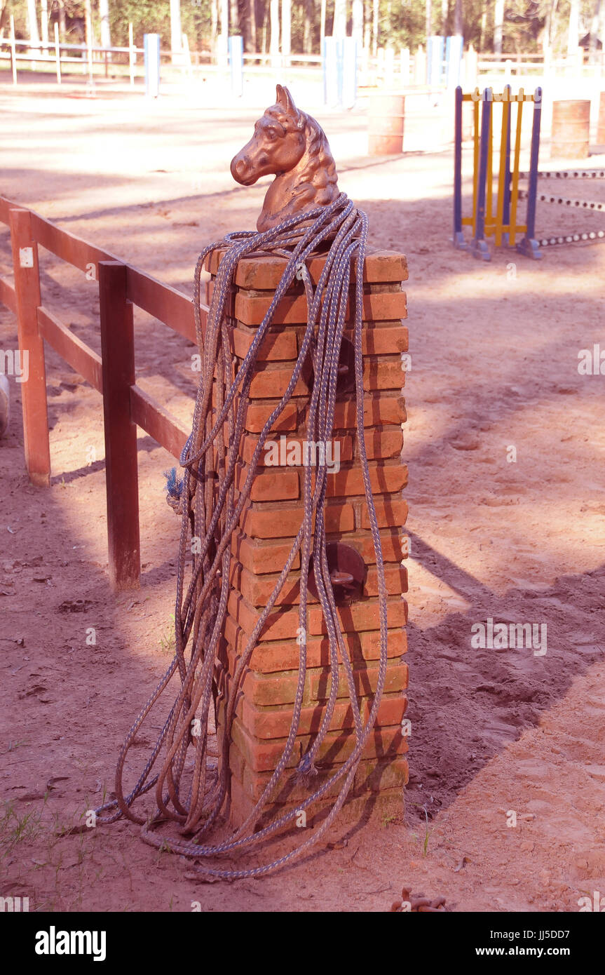 Formazione arena, Brasile Foto Stock