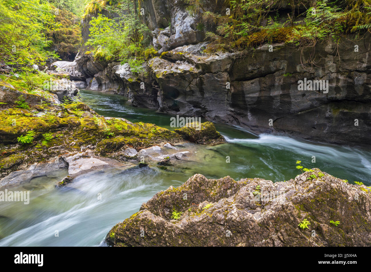 Atluck creek taglio attraverso il cast calcare creando huson ponte naturale grotta in poco huson grotta parco regionale, nel nord della isola di Vancouver, brit Foto Stock