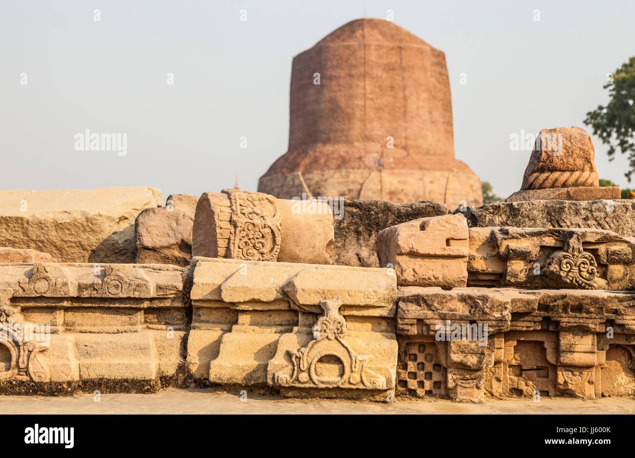 Dhamekh Stupa a Sarnath, in India, il luogo di nascita del buddismo. Il Buddha è detto di avere predicò il suo primo sermone in cui questo stupa sorge oggi. Foto Stock