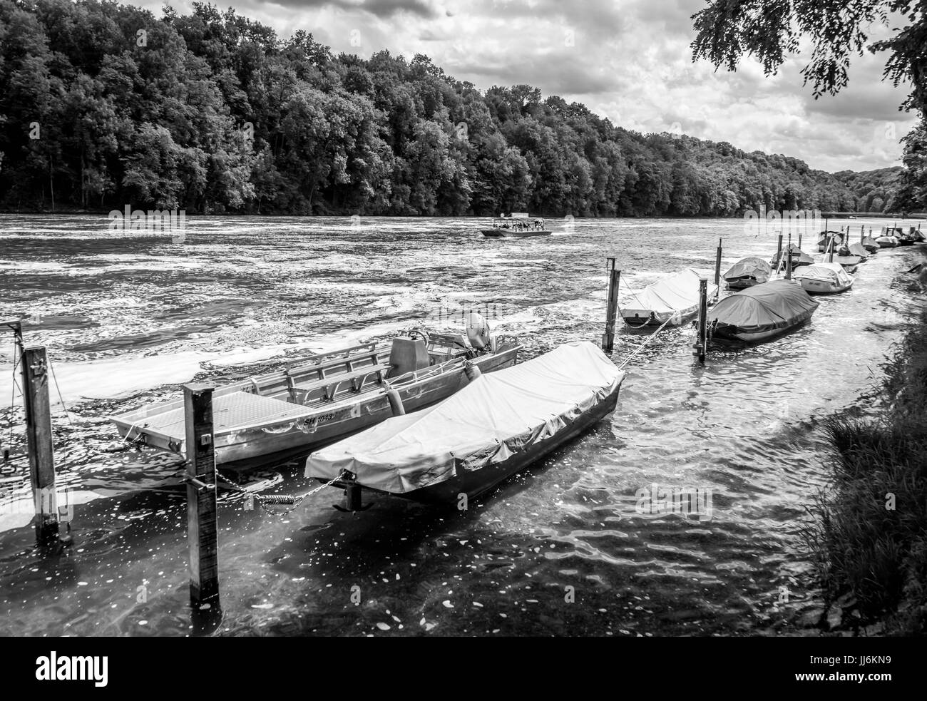 Barche in fila sul fiume Reno vicino al Rhinefalls, Schaffhausen, Svizzera. Sony Alpha 7 MK II f/6.3 1/1600s ISO1000 28mm Foto Stock