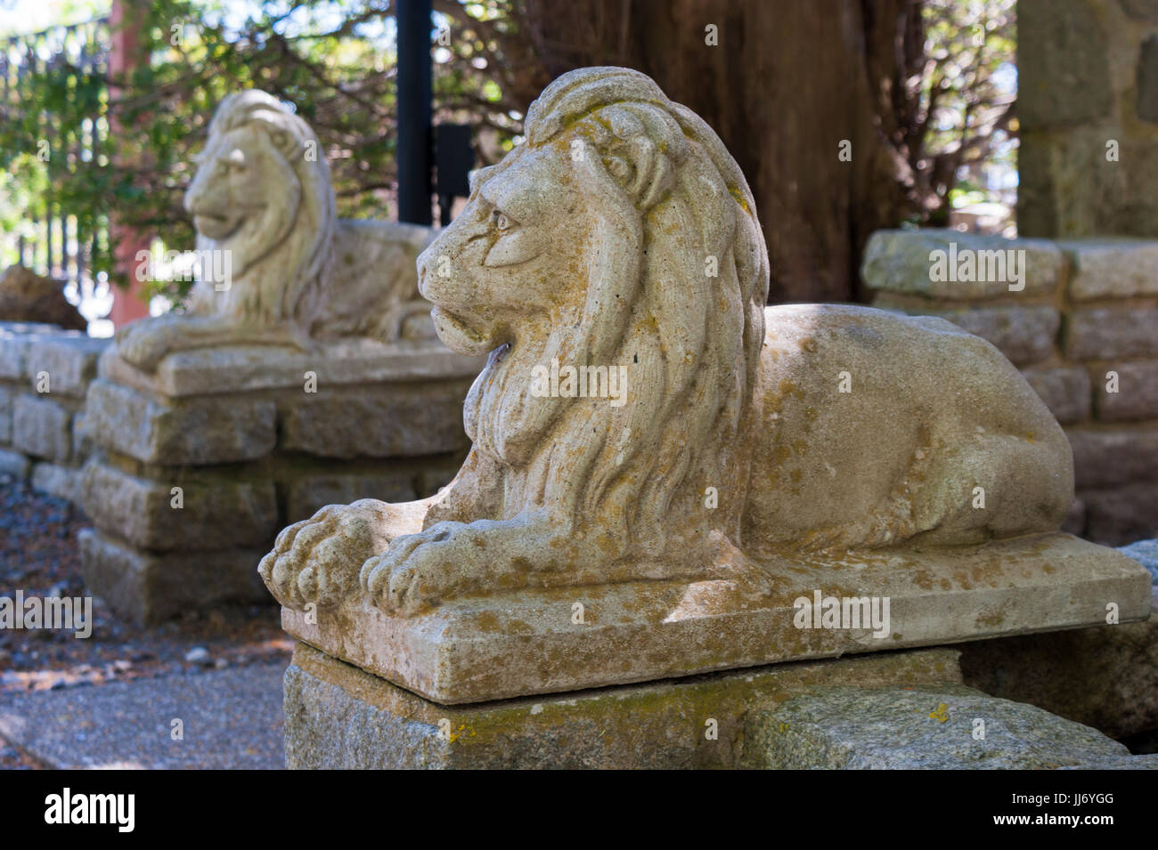 Due leoni in pietra al castello di Hammond, in Gloucester, Massachusetts. Foto Stock