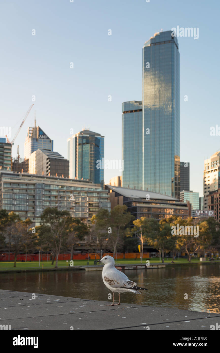 Una vista del Fiume Yarra e lo skyline del centro cittadino di quartiere centrale degli affari di Melbourne, Victoria Australia Foto Stock