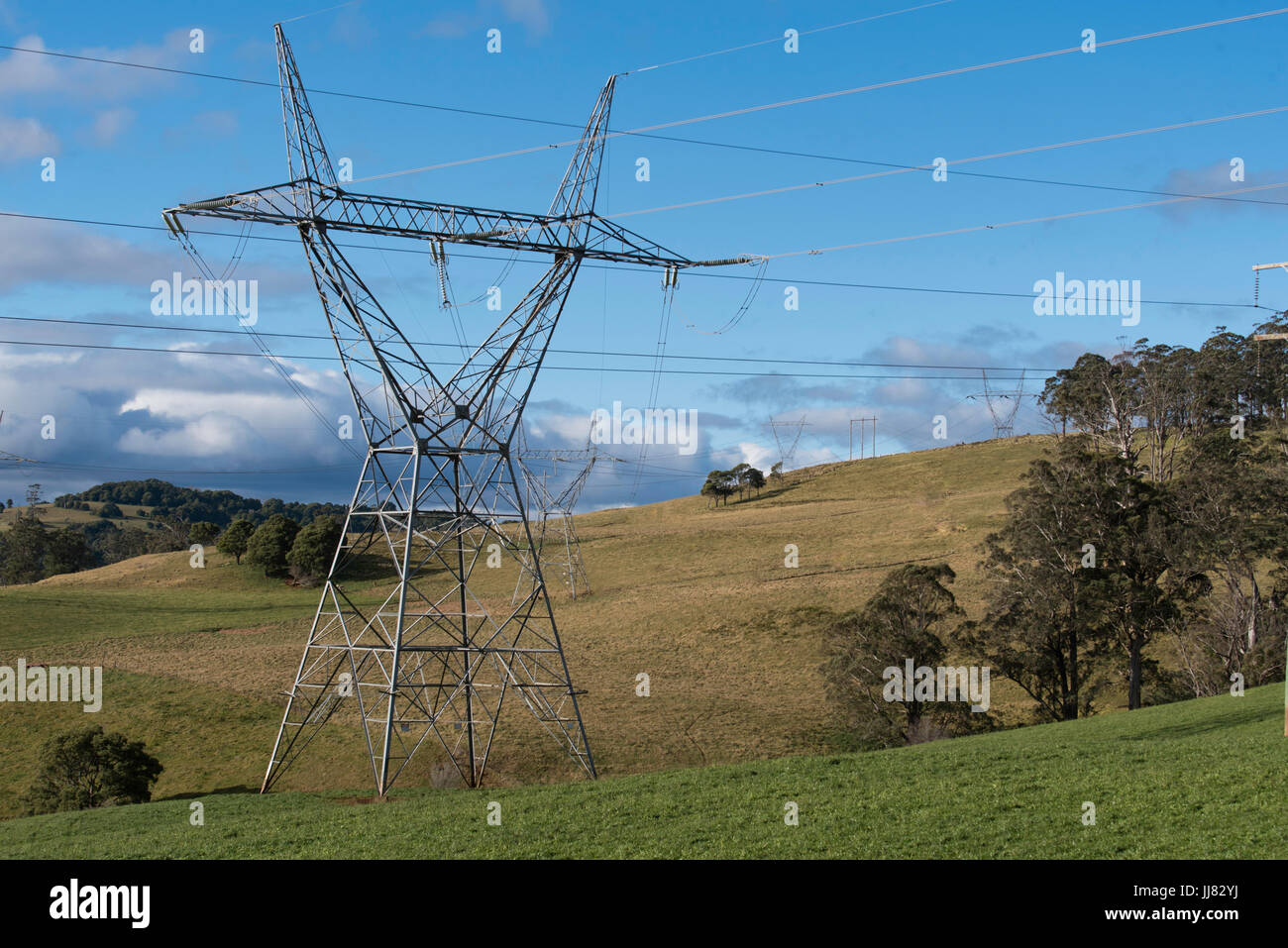 Alta tensione potenza elettrica linee e poli stirando paddock rurale Foto Stock
