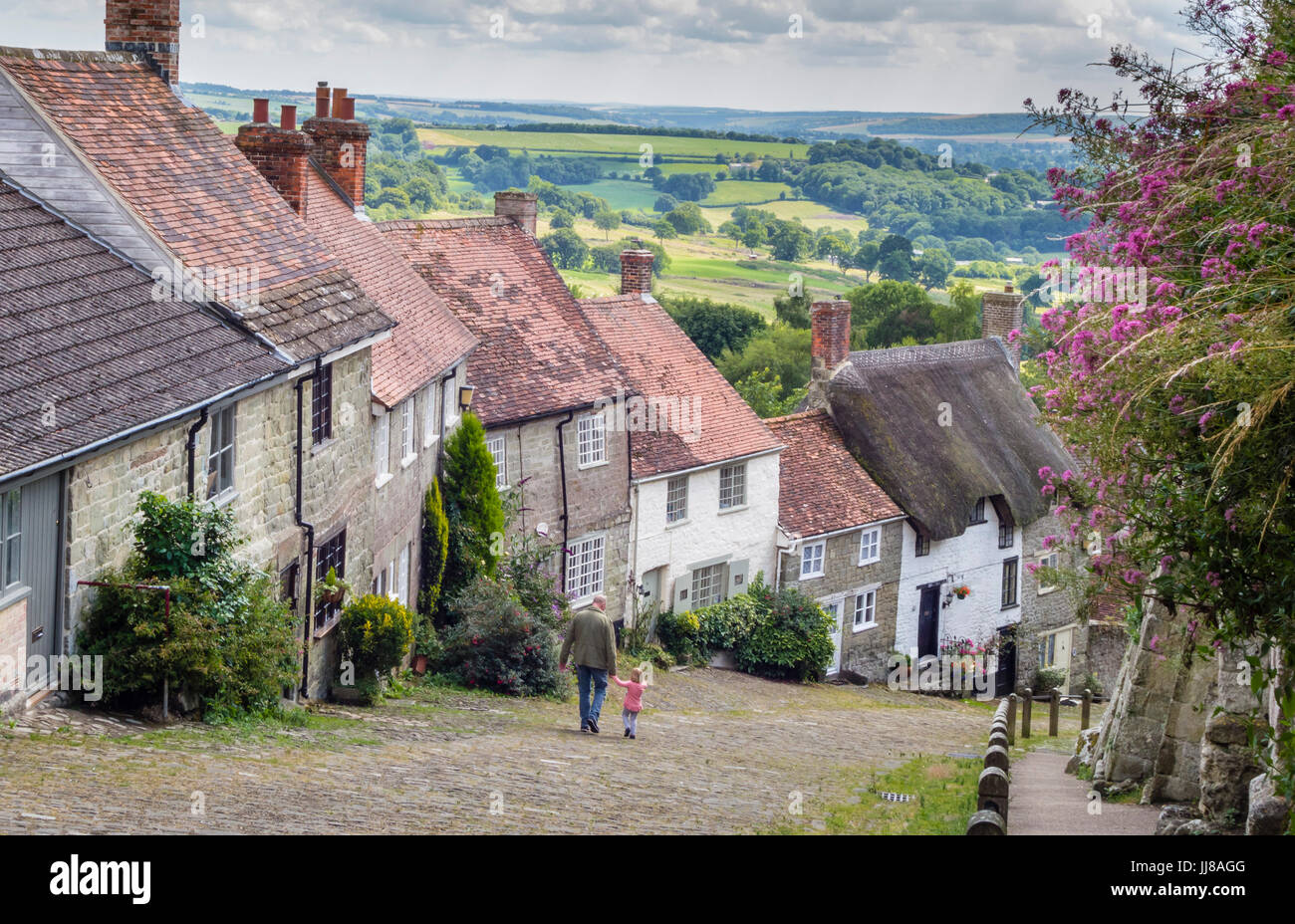 Collina d'oro, una scenic, ben noto vista dall'alto in Shaftesbury, Dorset, Regno Unito Foto Stock