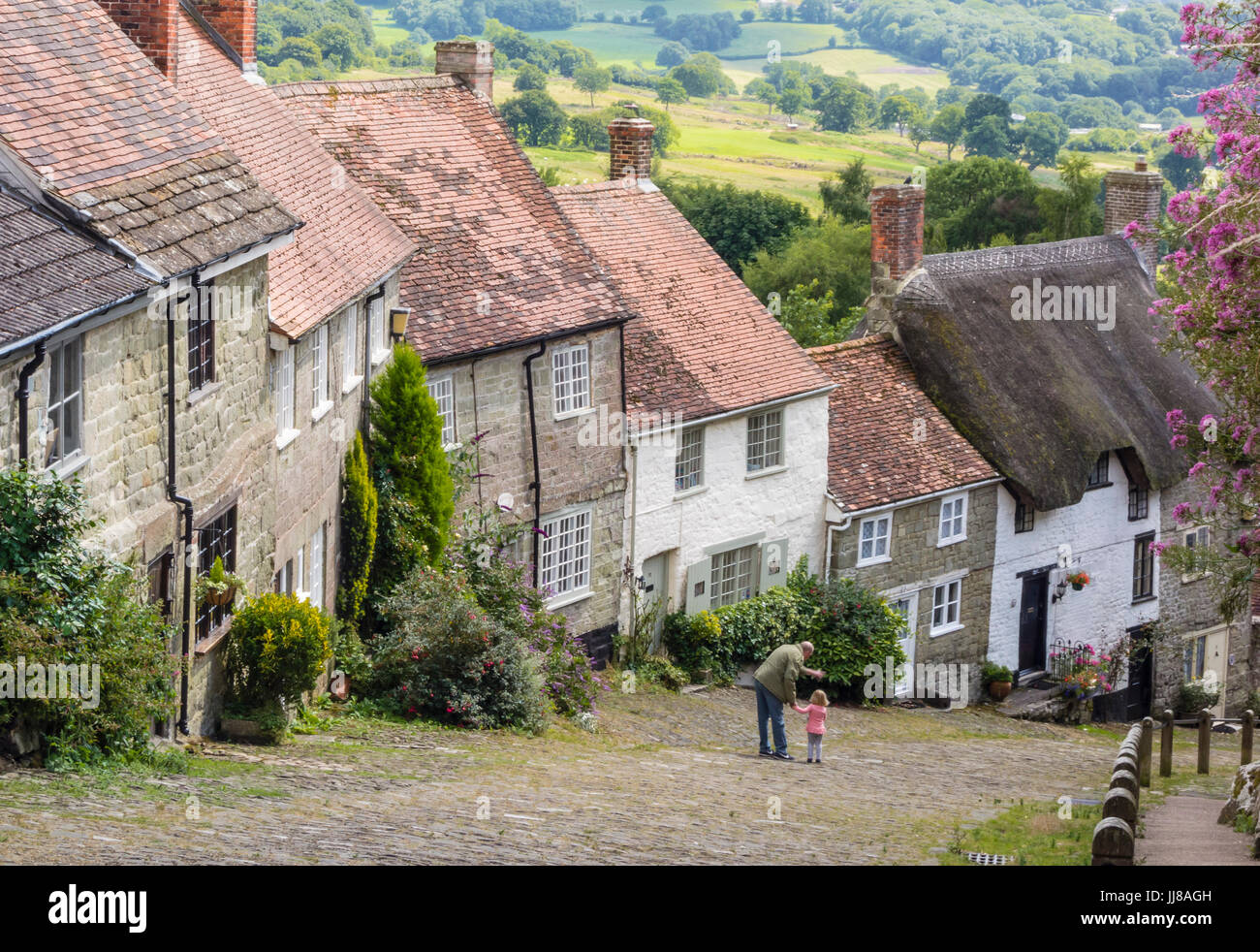 Collina d'oro, una scenic, ben noto vista dall'alto in Shaftesbury, Dorset, Regno Unito Foto Stock