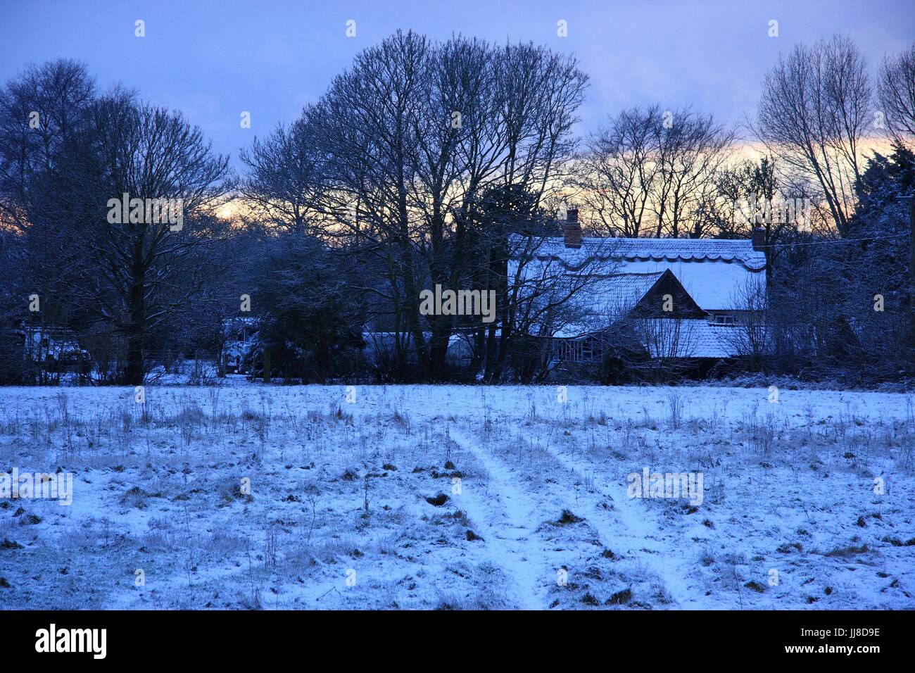 Norfolk Agriturismo nella neve Foto Stock