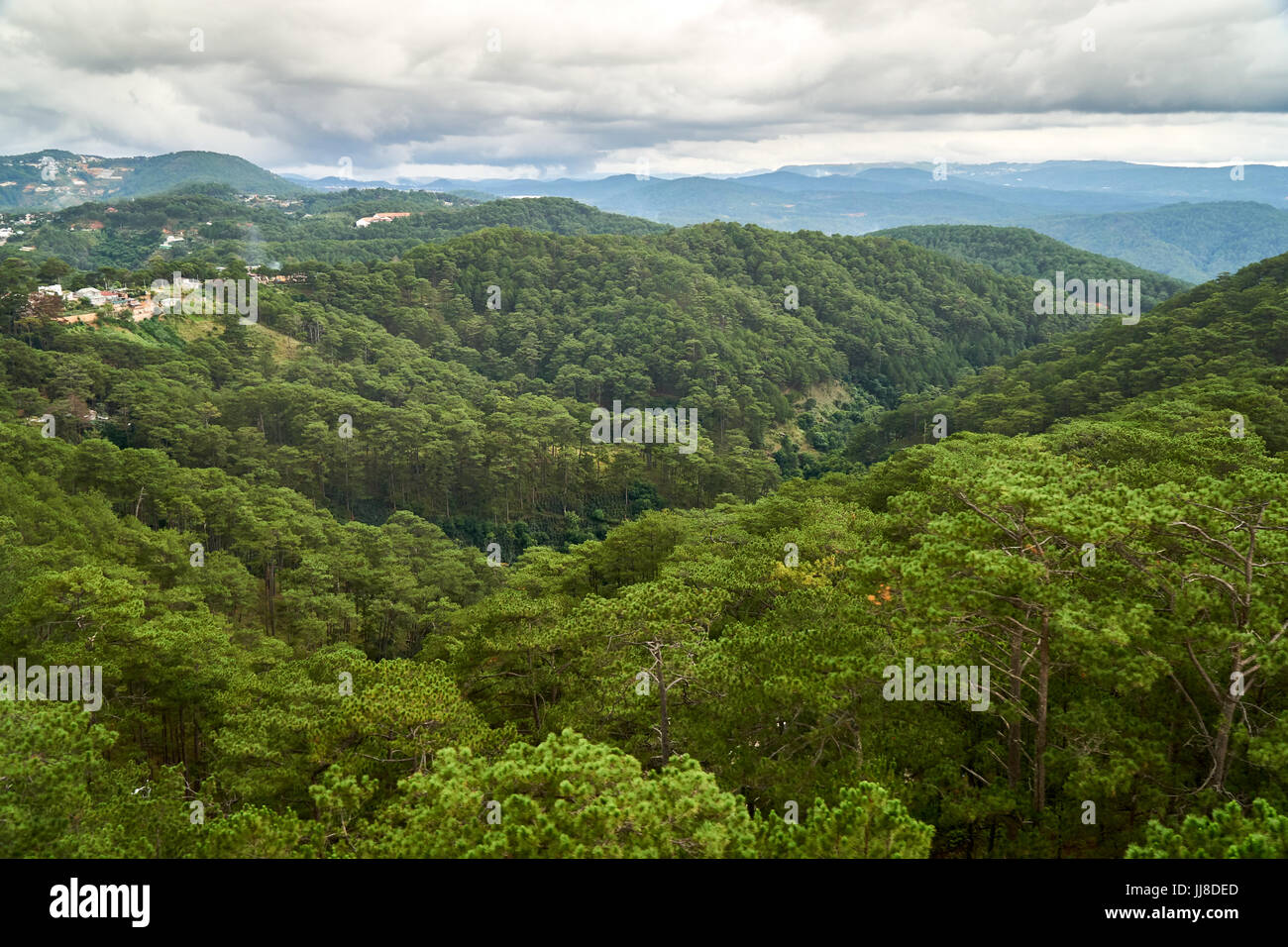 Pineta - angolo di alta vista - dal cavo di Dalat auto al Truc Lam pagoda. Dalat, Vietnam. Con copia spazio. Foto Stock