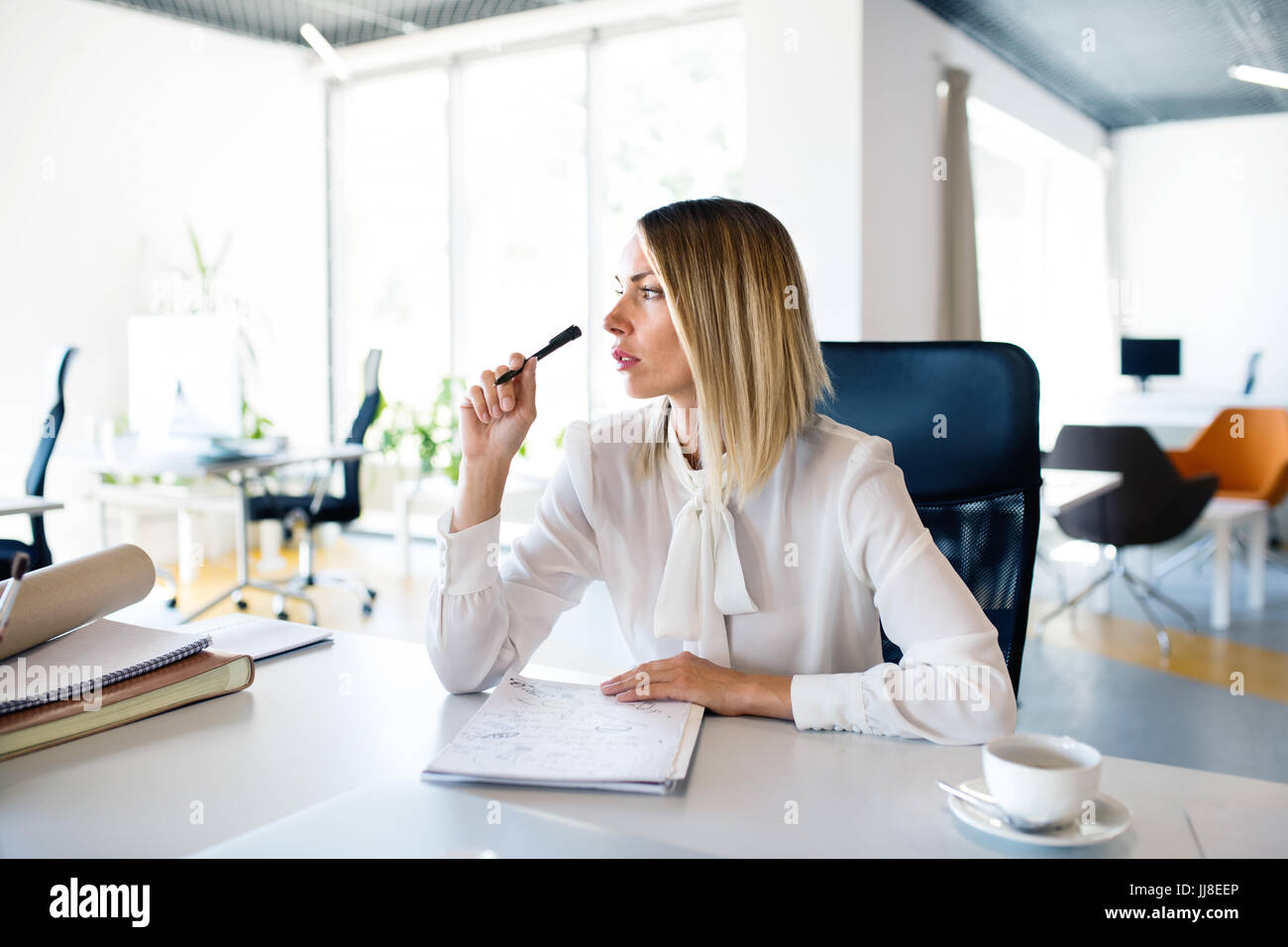 Imprenditrice dalla scrivania con il notebook nel suo ufficio. Foto Stock