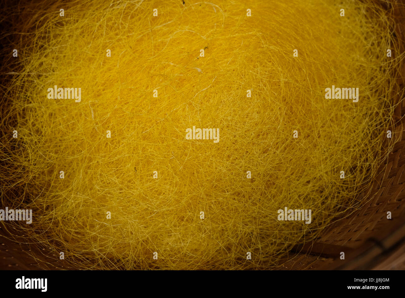 Golden filo di seta Foto Stock