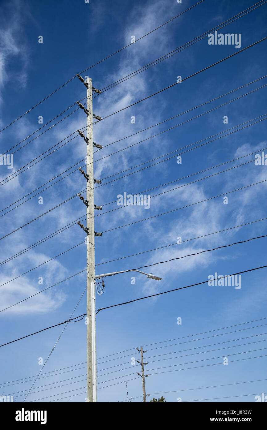 Linee elettriche Foto Stock