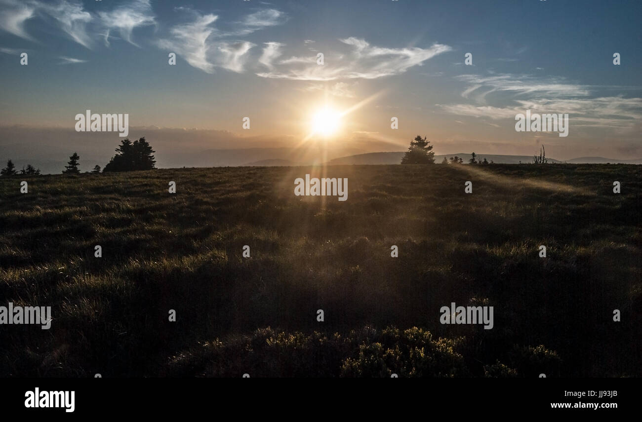 Serata di prato di montagna con alberi isolati su Jeleni hrbet collina sopra Jeleni studanka in Jeseniky montagne nella Repubblica Ceca con Sun, e alla luce del sole Foto Stock