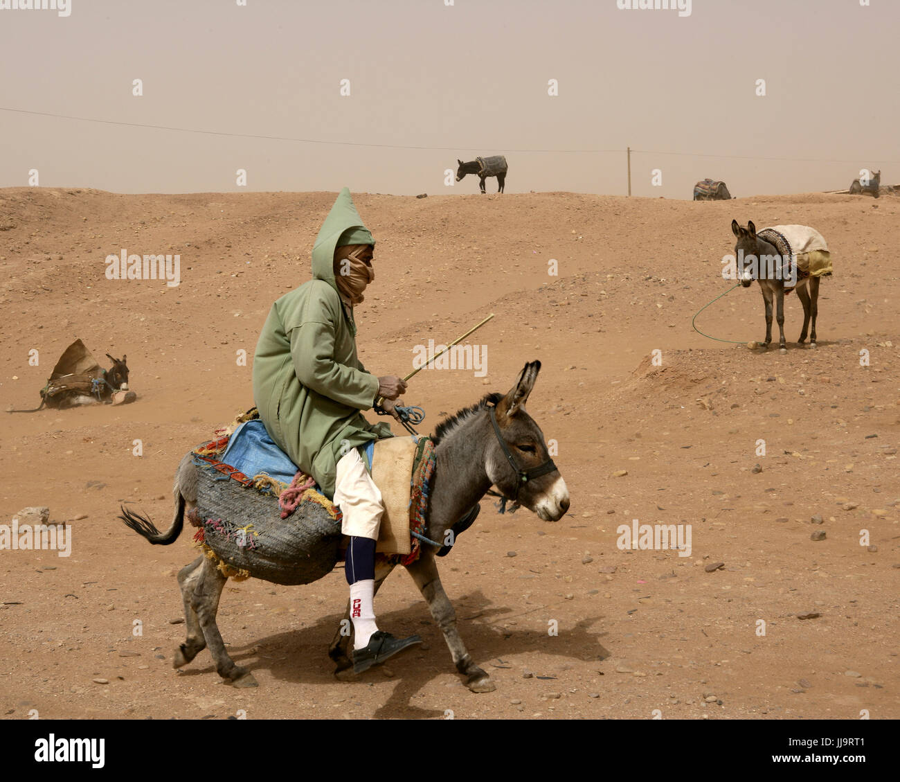 Uomo a cavallo di un asino in una polverosa strada di sabbia nella casbah di M'hamid sud del Marocco Foto Stock