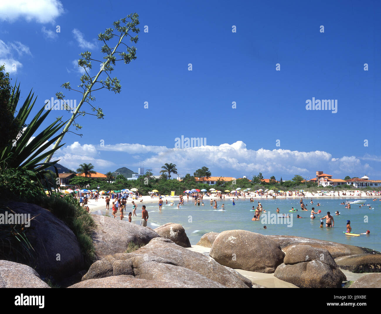 Daniela Beach Immagini E Fotos Stock Alamy