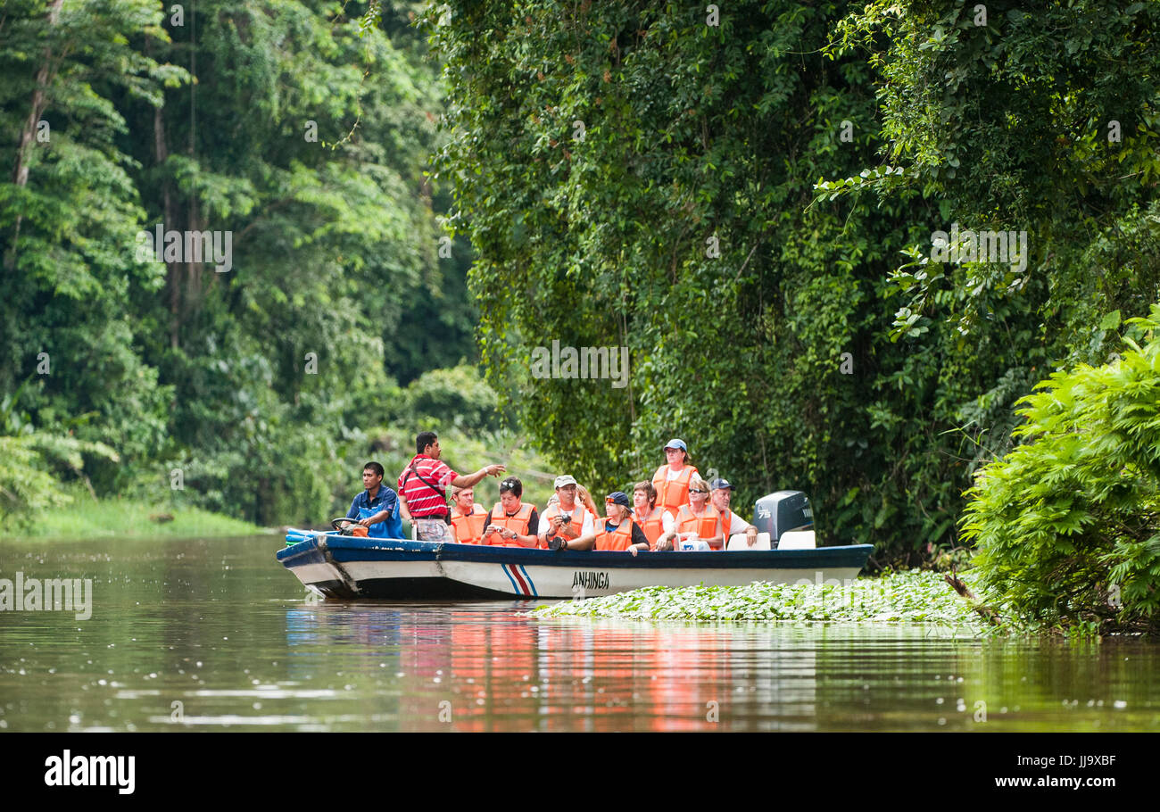 I turisti ad esplorare i canali di Tortugaro National Park in barca, Costa Rica Foto Stock