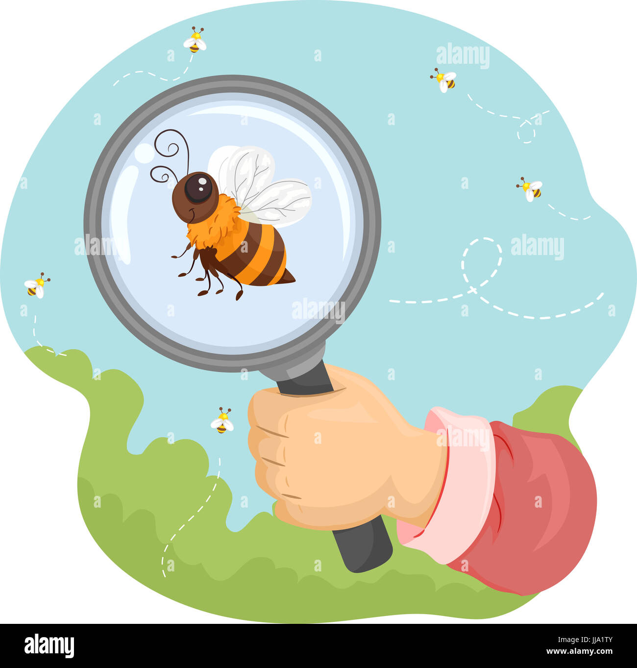 Illustrazione degli animali con un'ape che viene osservato sotto una lente di ingrandimento Foto Stock