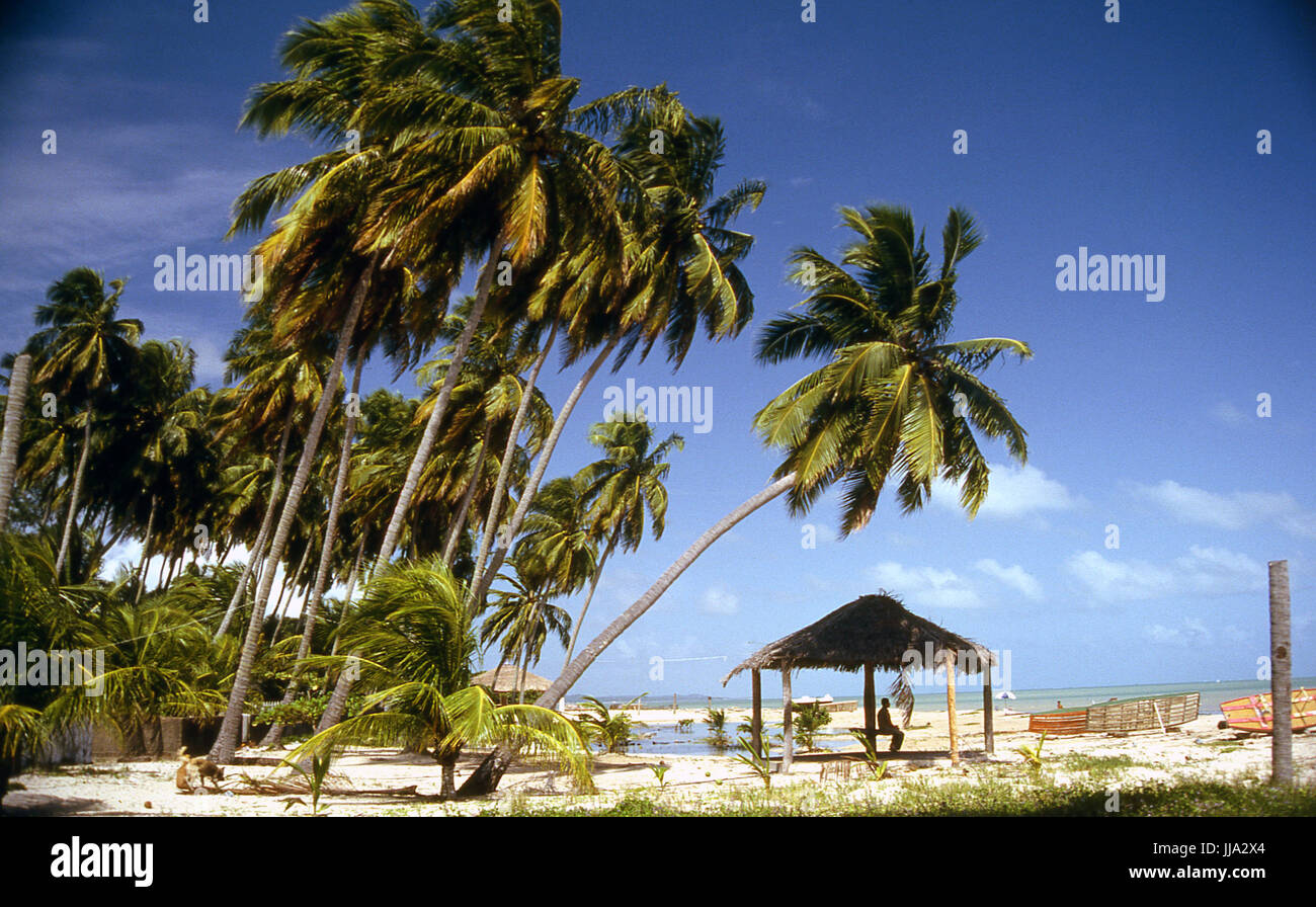 Spiagge di Maragogi, Alagoas, Brasile Foto Stock