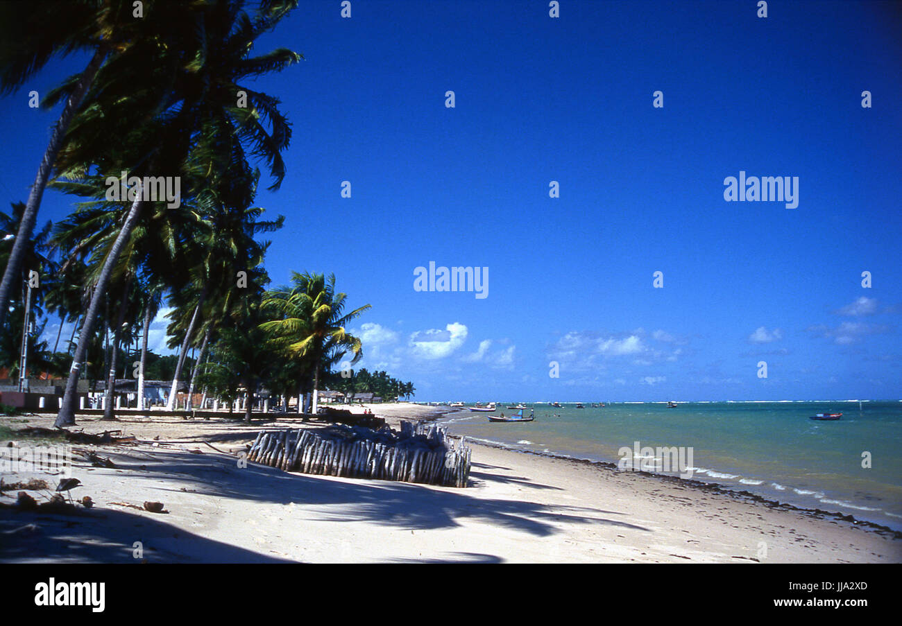 Spiagge di Maragogi, Alagoas, Brasile Foto Stock