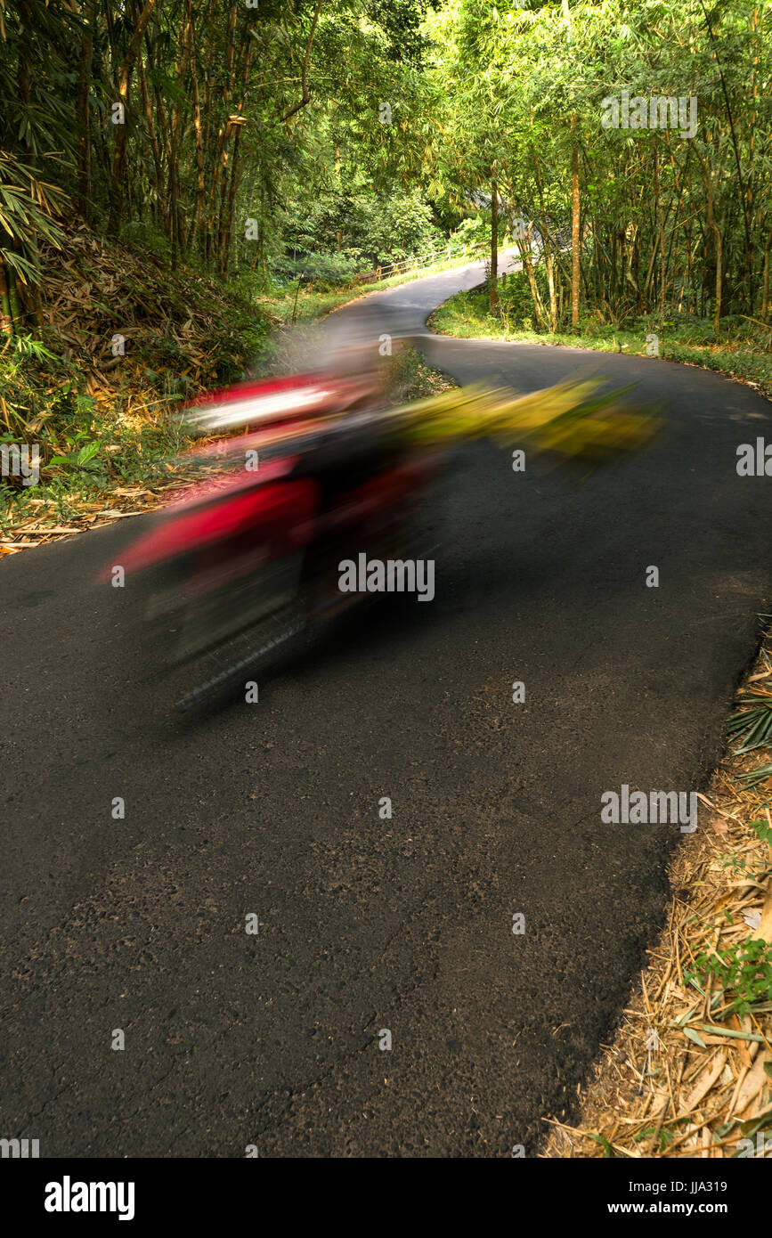 Down Hill S piegare in strada asfaltata attraversando un verde foresta di bamboo con moto motion blur. Foto Stock