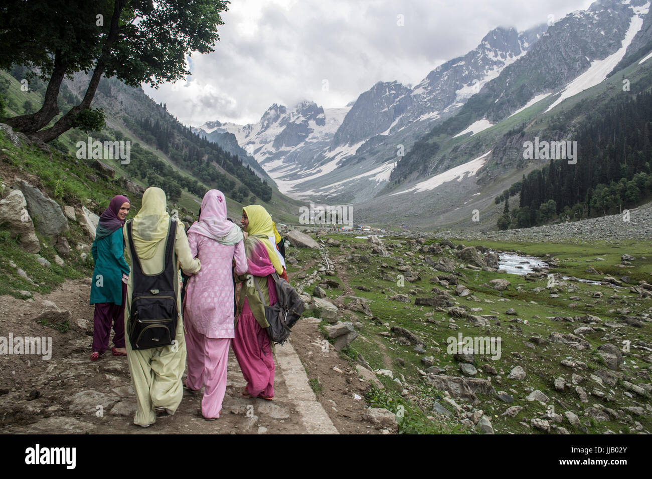 Jammu e Kashmir in India. Gruppo di turisti a piedi verso il ghiacciaio Thajwas Foto Stock