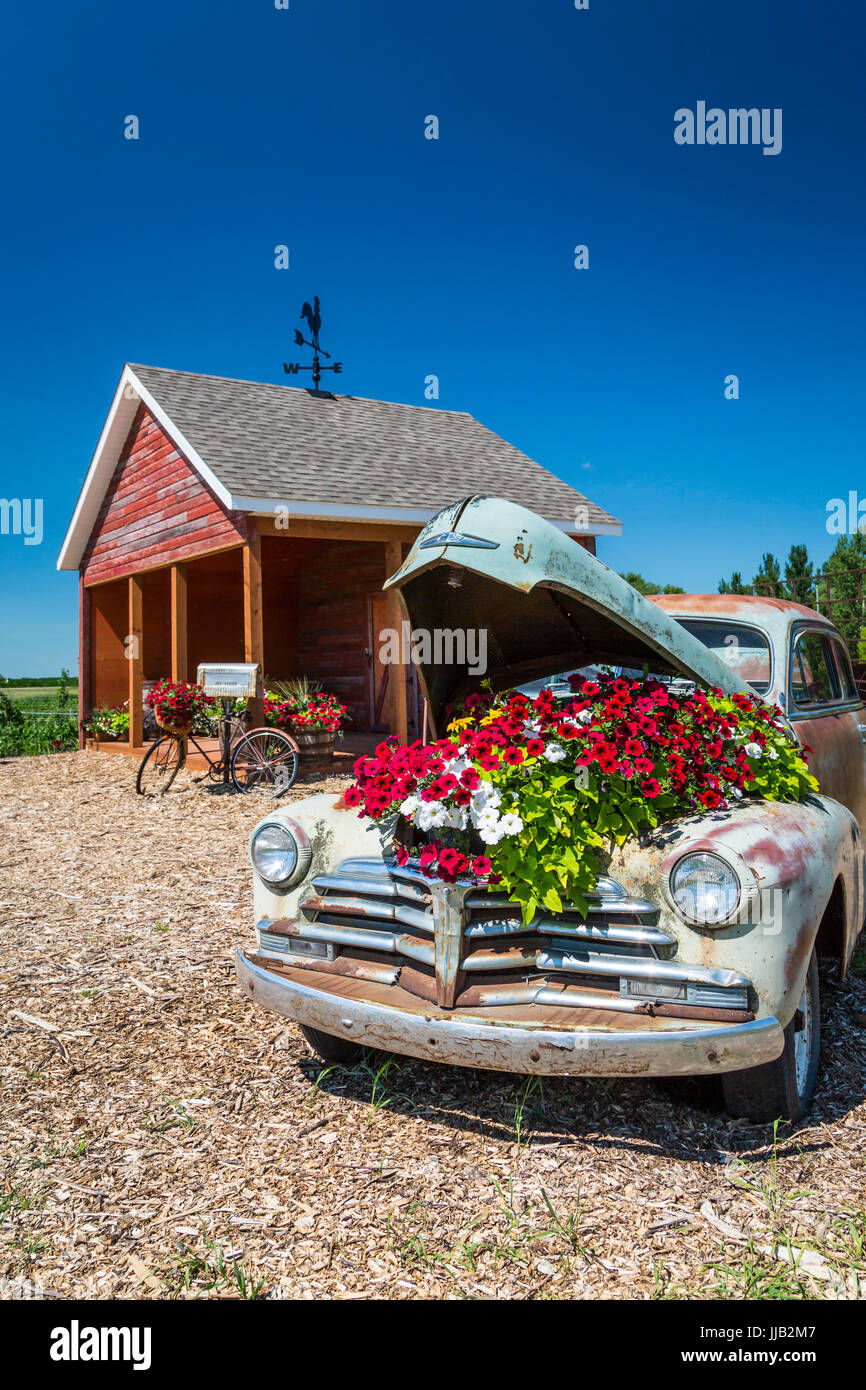 Il Parkside Pioneer Patch presentano storico a Winkler, Manitoba, Canada. Foto Stock