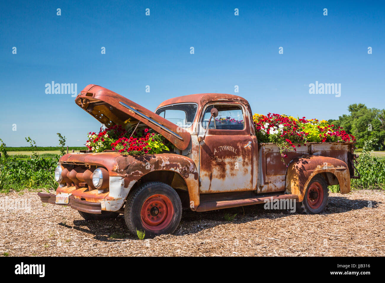 Il Parkside Pioneer Patch presentano storico a Winkler, Manitoba, Canada. Foto Stock