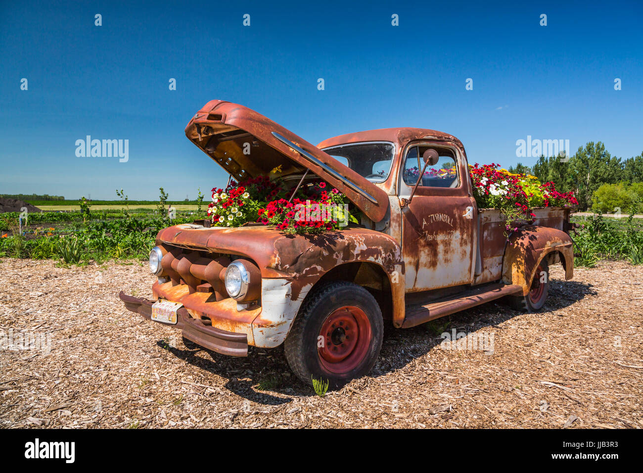 Il Parkside Pioneer Patch presentano storico a Winkler, Manitoba, Canada. Foto Stock